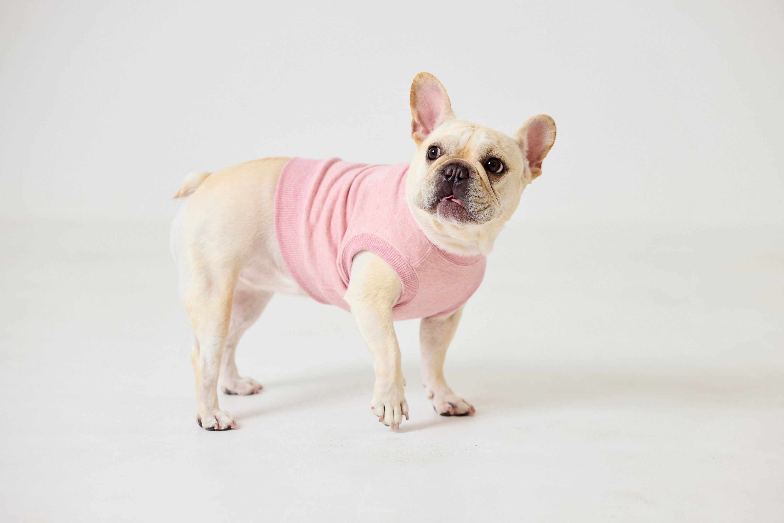 明日は一緒にどこ行く？クロップドスウェット Melange Pink – ComeUme
