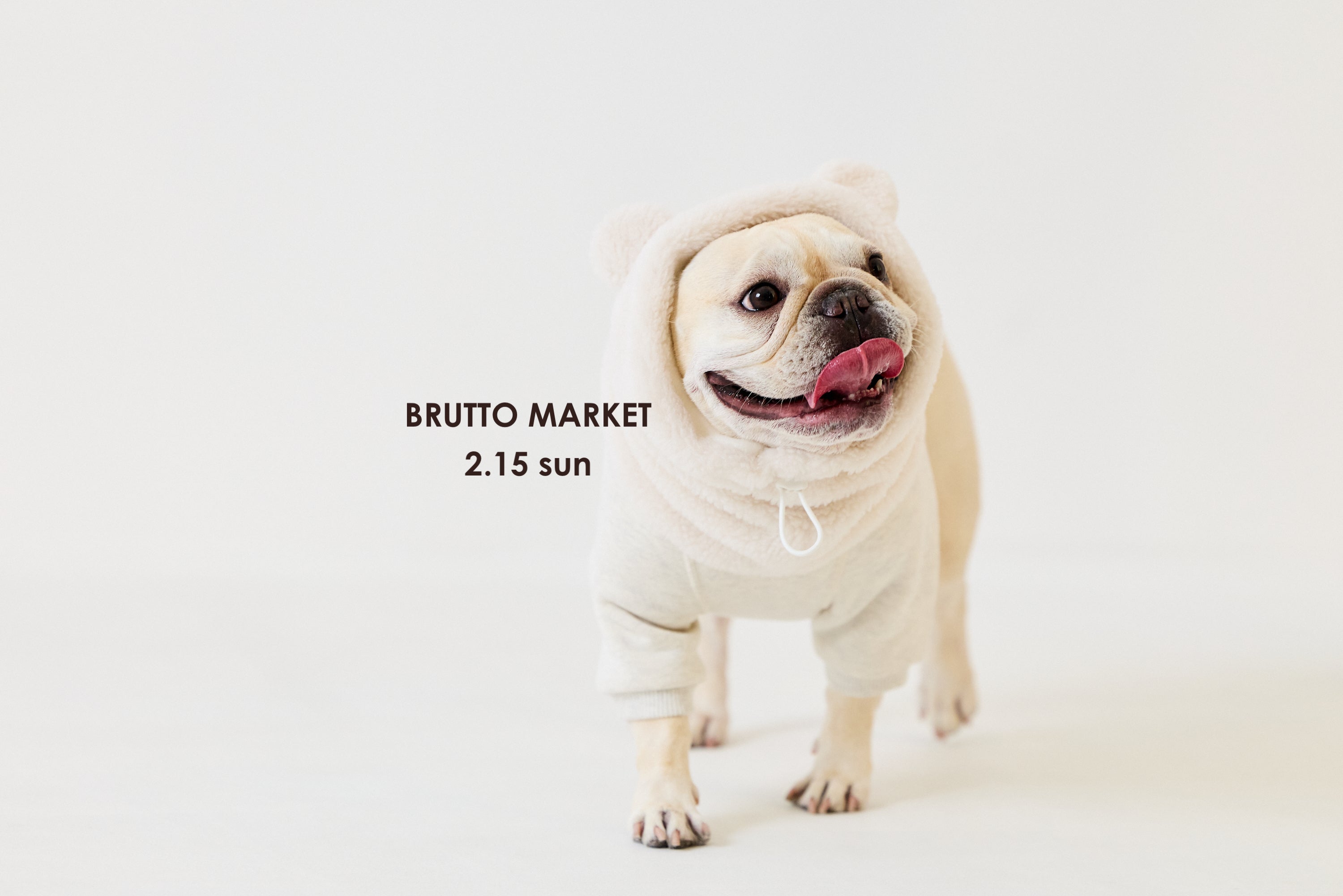 イベント出展のお知らせ