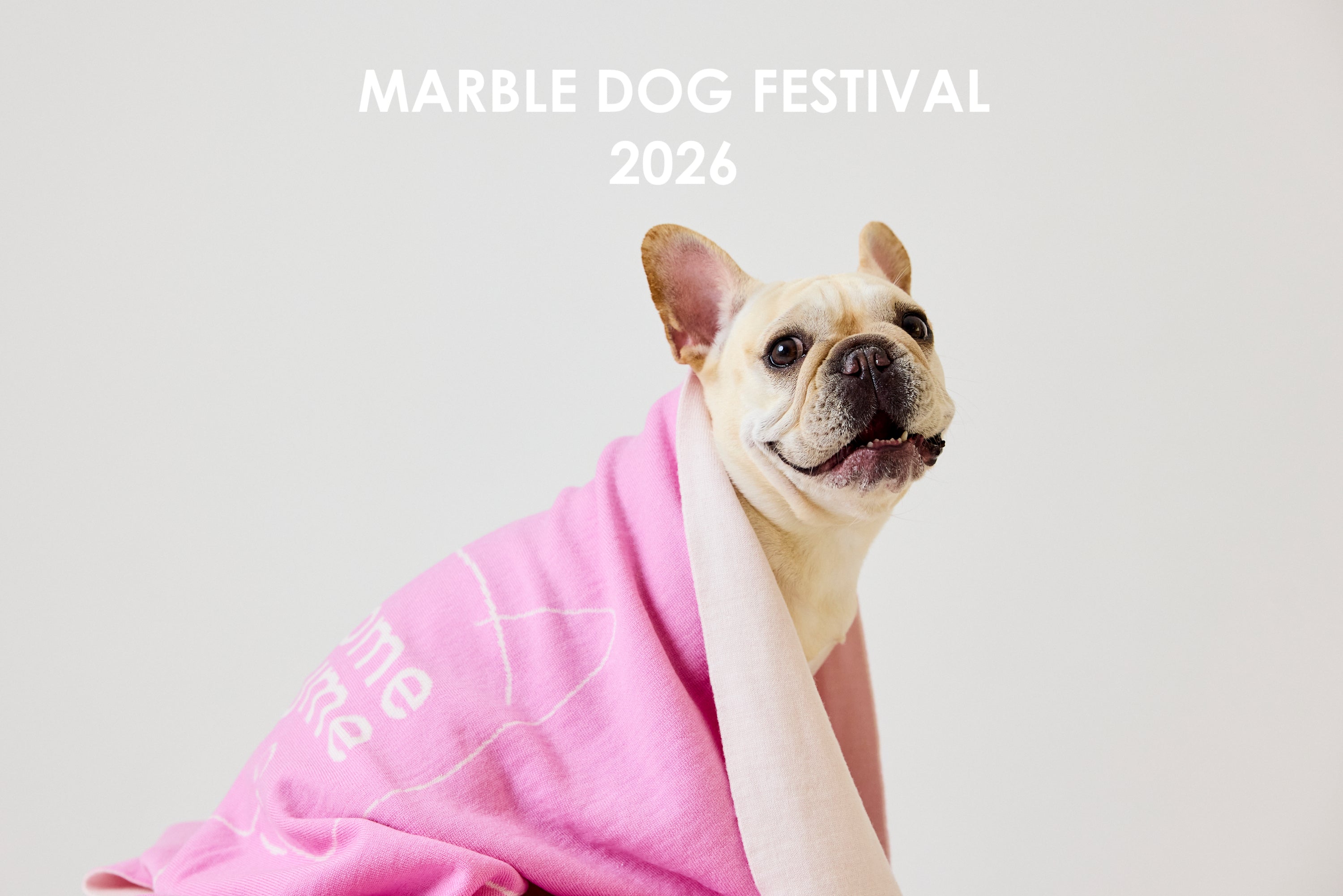 イベント出展のお知らせ