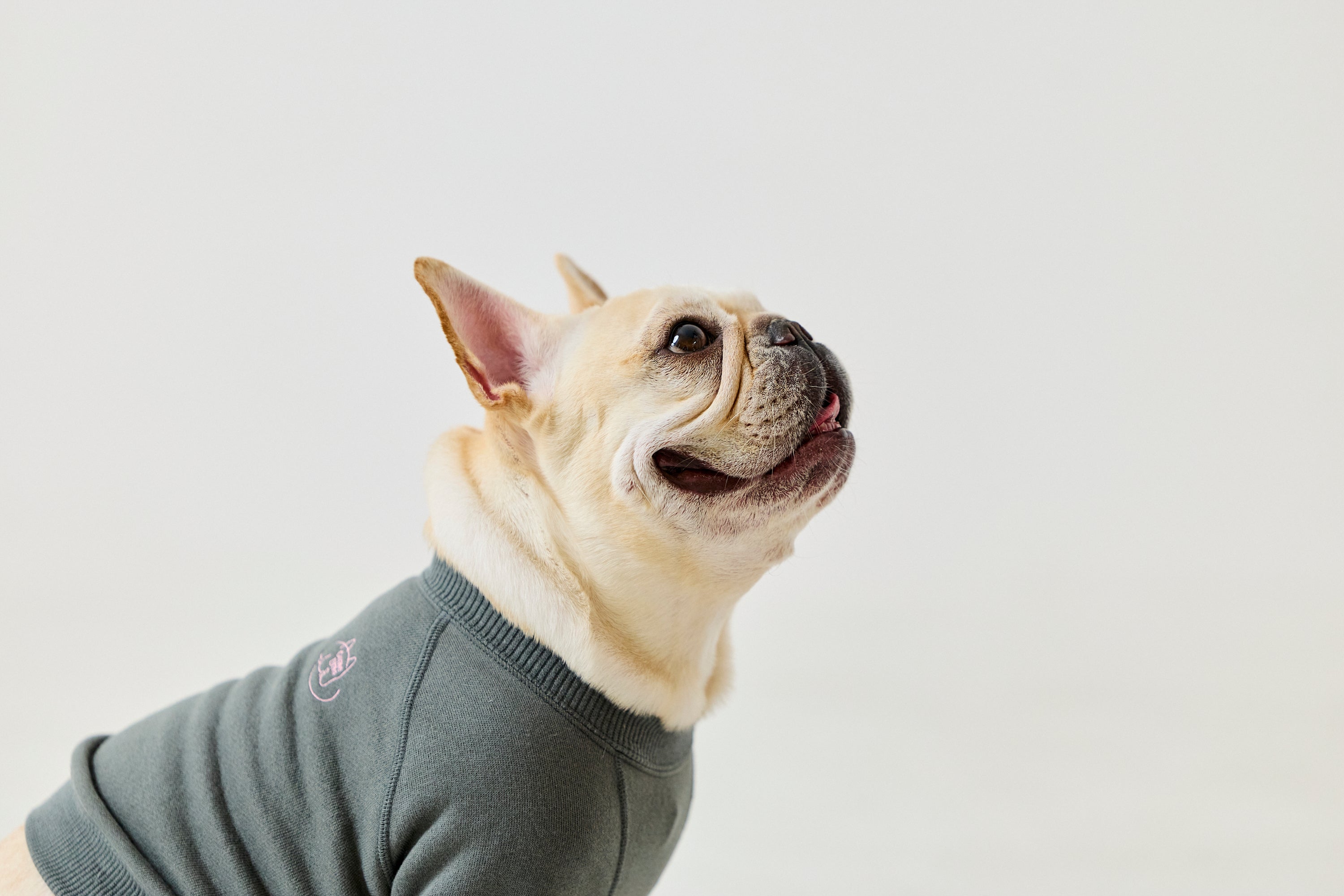 POP UP STORE 開催のお知らせ