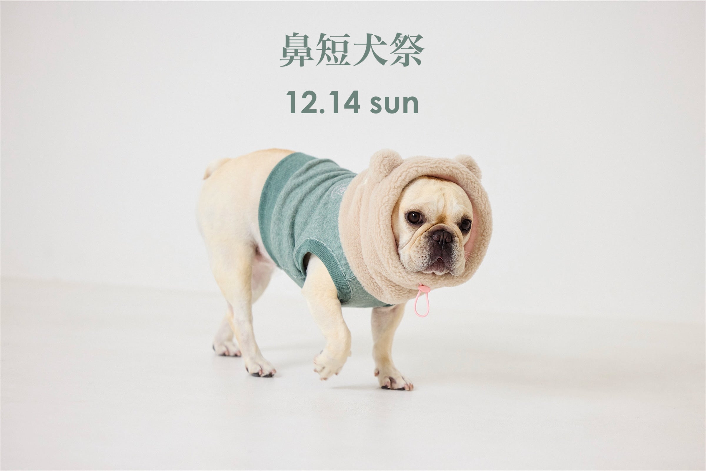 イベント出展のお知らせ