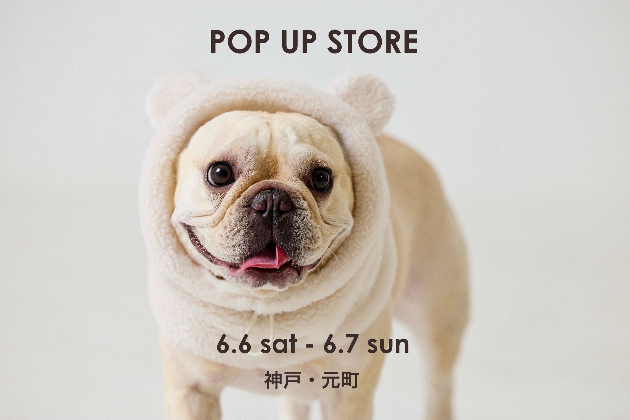 POP UP STORE 開催のお知らせ