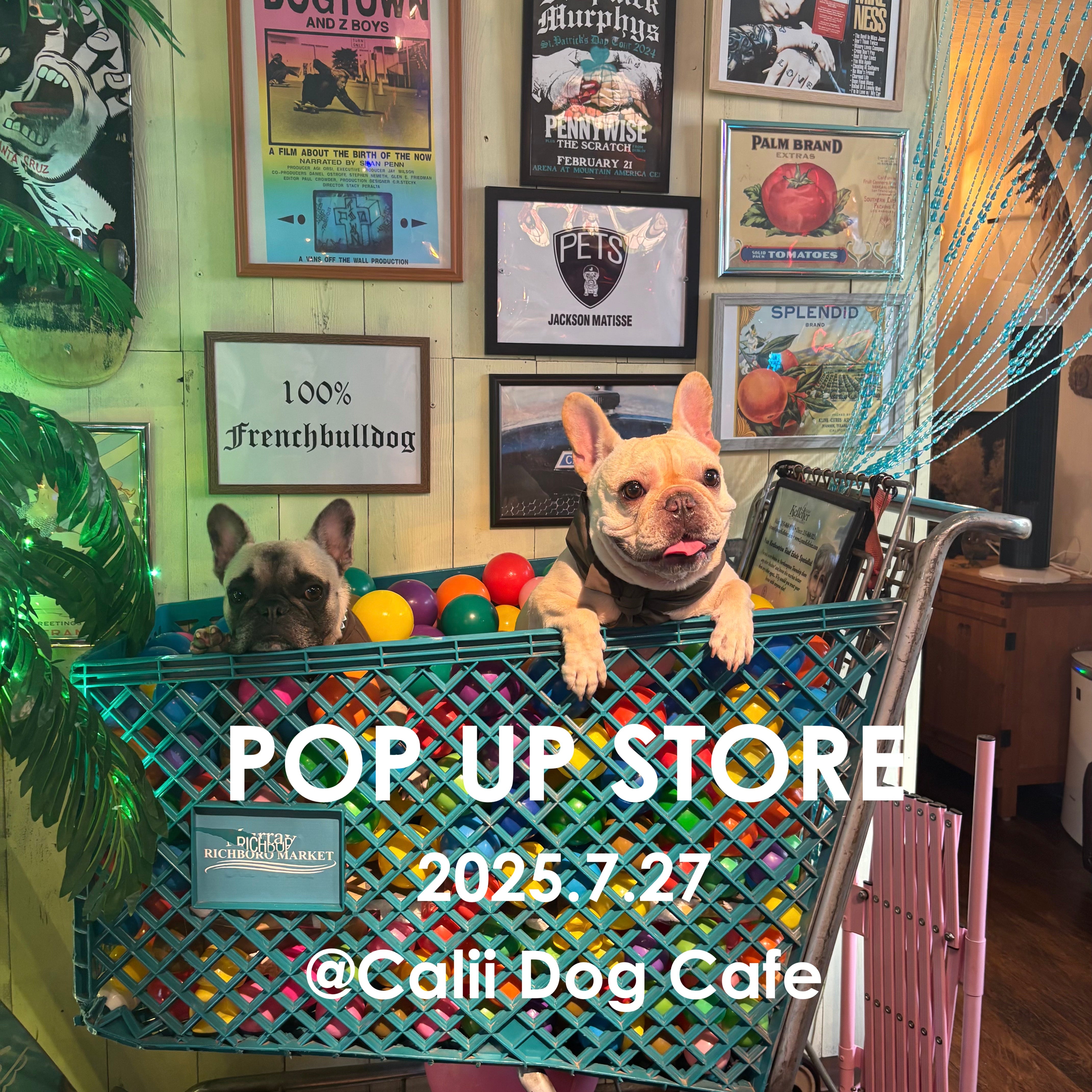 POP UP STORE 開催のお知らせ