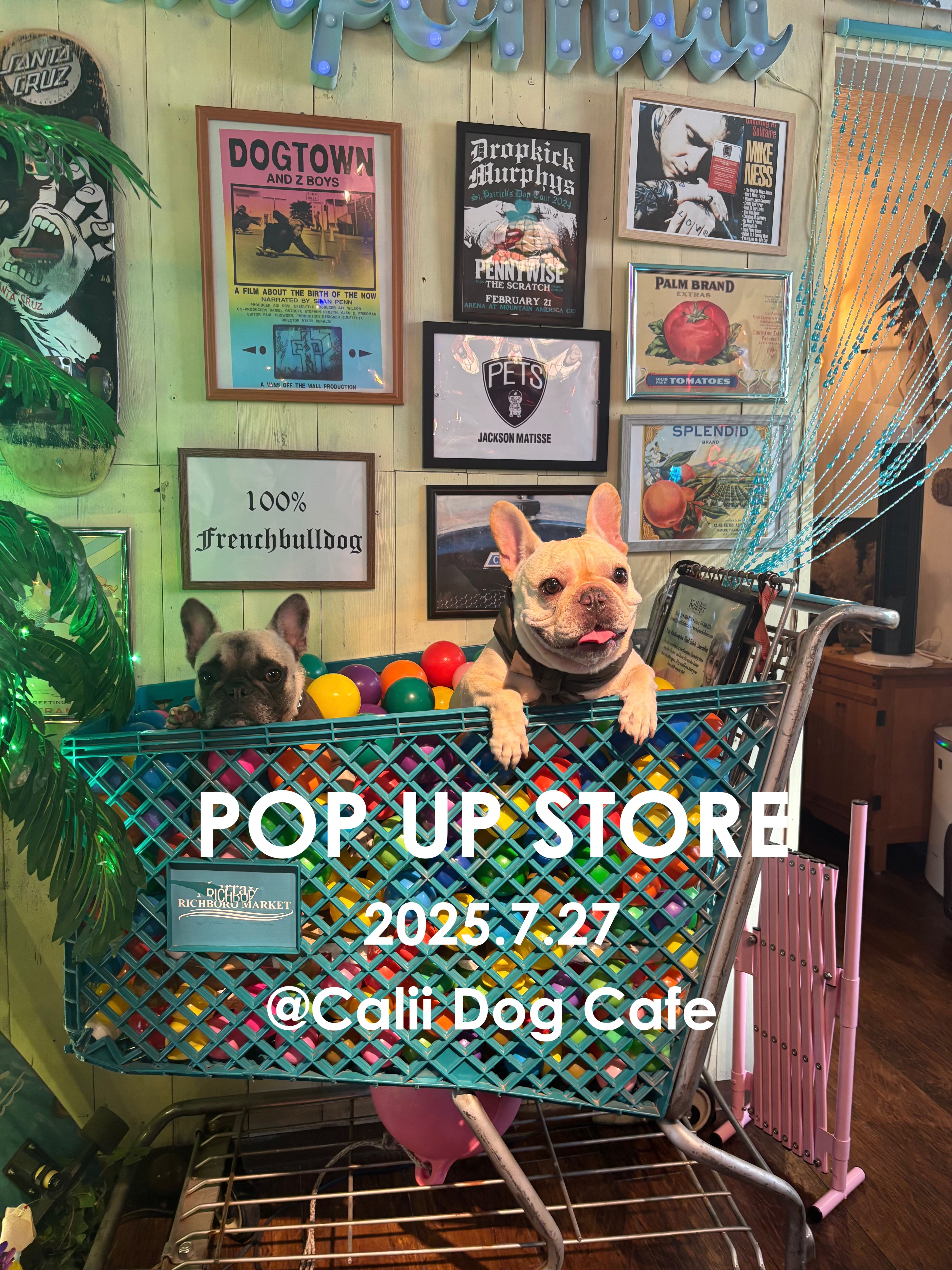 POP UP STORE 開催のお知らせ