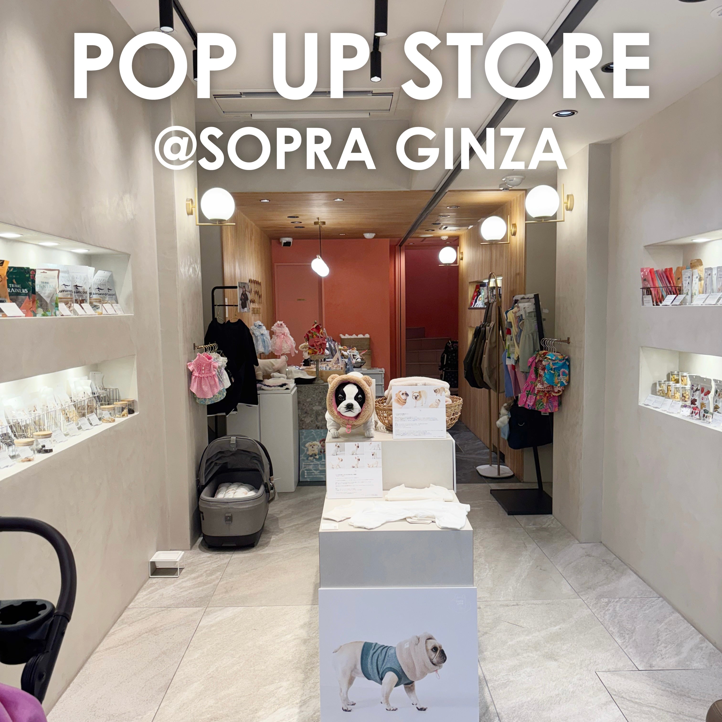POP UP STORE 開催のお知らせ