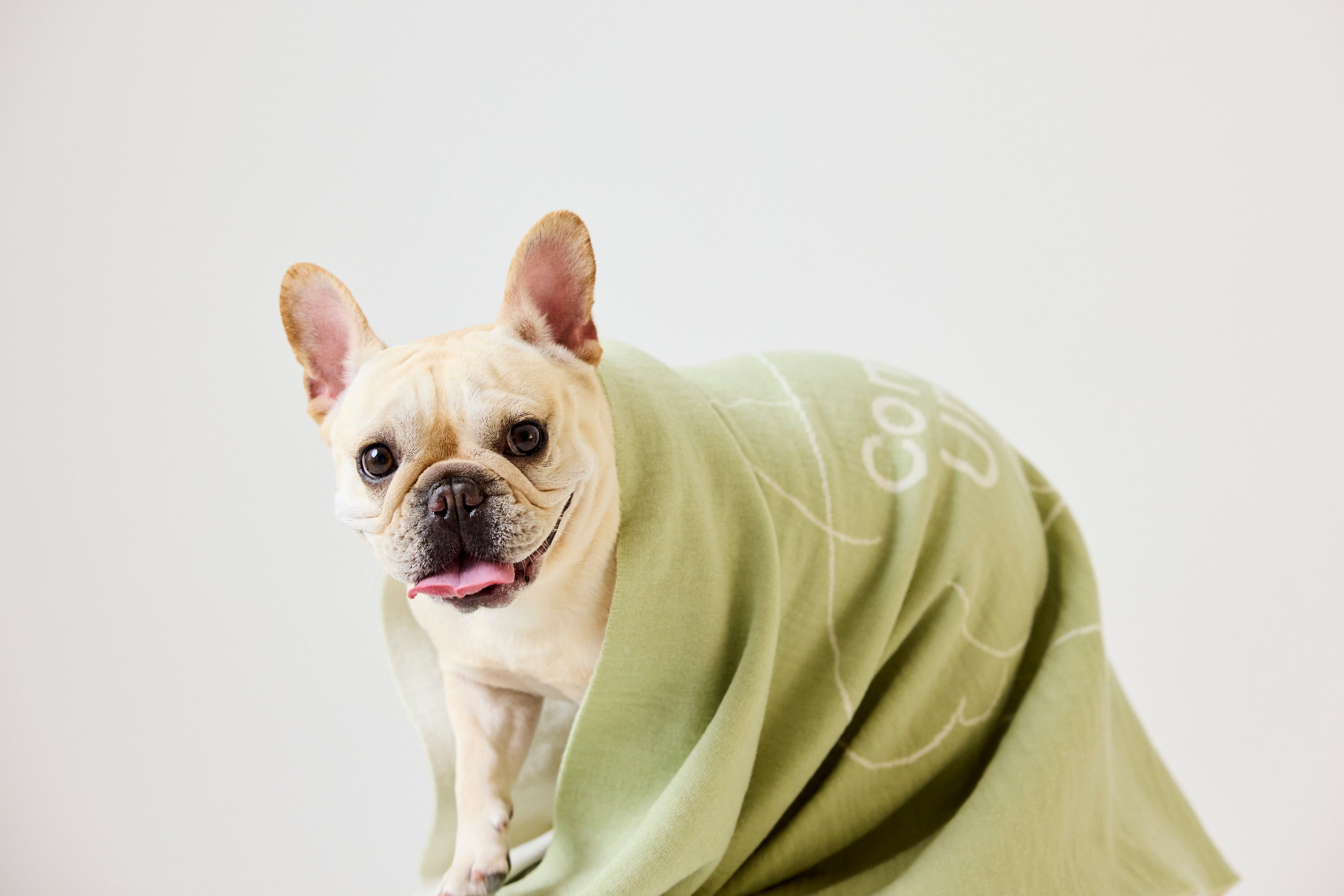 ぼくの相棒ブランケット – ComeUme