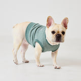 明日は一緒にどこ行く？クロップドスウェット　Melange Moss Green